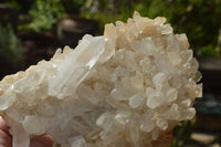 Natural Mixed Quartz Clusters x 6 From Madagascar - TopRock