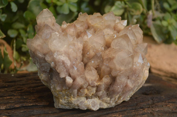 Natural Large Cascading White Phantom Smokey Quartz Cluster x 1 From Luena, Congo