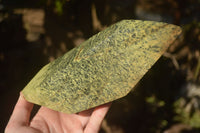 Polished  Leopard Stone Standing Free Form x 1 From Zimbabwe