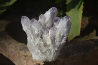 Natural Sugar Amethyst Clusters  x 4 From Solwezi, Zambia - Toprock Gemstones and Minerals 