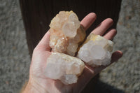 Natural White Cactus Spirit Quartz Clusters  x 12 From Boekenhouthoek, South Africa - Toprock Gemstones and Minerals 