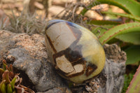 Polished Septaria Dragon's Eggs (Calcite & Aragonite) x 3 From Mahajanga, Madagascar - TopRock