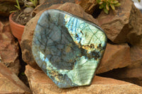 Polished Labradorite Standing Free Form With A Full Face Flash x 1 From Tulear, Madagascar - TopRock