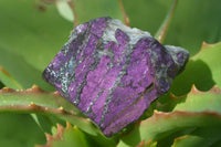 Natural Metallic Purpurite Cobbed Specimens  x 12 From Erongo, Namibia - Toprock Gemstones and Minerals 