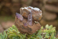 Polished Conglomerate Amethyst Clusters (Man Made) x 6 From Chiredzi, Zimbabwe - TopRock