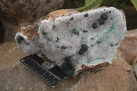 Natural Rare Ball Malachite On Drusy Quartz & Dolomite Matrix  x 1 From Kambove, Congo - Toprock Gemstones and Minerals 