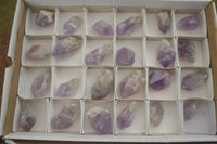 Natural Single Zambian Jacaranda Amethyst Points - Sold per 1.6 kg (24 points per tray) - From Mumbwa, Zambia - TopRock