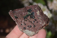 Natural Rare Libethenite Crystals On Dolomite Matrix Specimens x 6 From Likasi, Congo