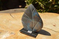 Polished Blue Spotted Spinel Standing Leaf Sculptures  x 2 From Madagascar - TopRock