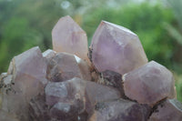 Natural Jacaranda Amethyst Cluster x 1 From Mumbwa, Zambia - TopRock