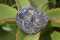 Polished Purple Lepidolite Free Forms  x 6 From Zimbabwe