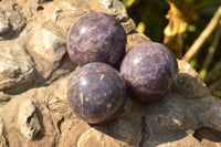 Polished Purple Lepidolite Crystal Spheres  x 8 From Madagascar - TopRock