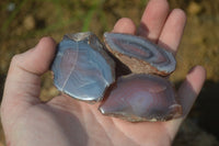 Polished Red River Agate Nodules  x 12 From Sashe River, Zimbabwe - Toprock Gemstones and Minerals 