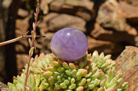 Polished Dream Amethyst Palm Stones  x 20 From Madagascar - TopRock