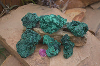 Natural Chatoyant Silky Malachite Specimens  x 6 From Kasompe, Congo - TopRock