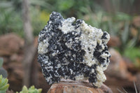 Natural Schorl Black Tourmaline Specimens With Hyalite Opal x 2 From Erongo Mountains, Namibia - TopRock