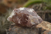 Natural Red Hematoid Quartz Specimens x 12 From Karoi, Zimbabwe - TopRock