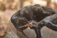 Polished Septaria Dragons Egg x 1 From Mahajanga, Madagascar - TopRock