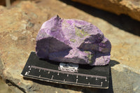 Natural Selected Stichtite & Green Serpentine (Atlantisite) Cobbed Specimens  x 8 From Barberton, South Africa - TopRock