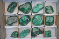 Polished Flower Banded Malachite Free Forms  x 12 From Congo - Toprock Gemstones and Minerals 