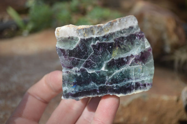 Polished Watermelon Fluorite Slices  x 6 From Uis, Namibia