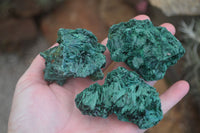 Natural Chatoyant Silky Malachite Specimens  x 6 From Kasompe, Congo - TopRock