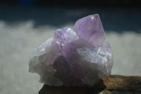 Natural Jacaranda Amethyst Clusters  x 3 From Mumbwa, Zambia - Toprock Gemstones and Minerals 