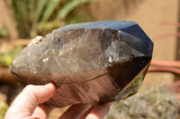 Natural Smokey Quartz Crystal With Polished Termination x 1 From Zomba, Malawi - TopRock