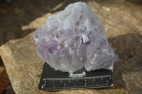 Natural Sugar Amethyst Clusters  x 4 From Solwezi, Zambia - Toprock Gemstones and Minerals 