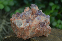 Natural Sugar Amethyst Clusters  x 6 From Zambia - Toprock Gemstones and Minerals 