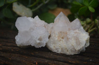 Natural White Cactus Spirit Quartz Clusters  x 12 From Boekenhouthoek, South Africa - Toprock Gemstones and Minerals 