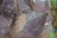 Natural Jacaranda Amethyst Cluster x 1 From Mumbwa, Zambia - TopRock