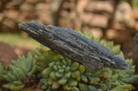 Natural Medium Sized Blue Kyanite with Black Mica Crystals x Sold per 1 Kg -  From Karoi, Zimbabwe - TopRock