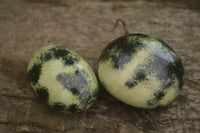 Polished Spotted Leopard Stone Gallets  x 12 From Zimbabwe - TopRock