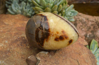 Polished Septaria Dragon's Eggs (Calcite & Aragonite) x 3 From Mahajanga, Madagascar - TopRock