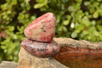 Polished Stunning Red Rhodonite Free Forms x 6 From Zimbabwe - TopRock