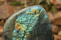 Polished Labradorite Standing Free Form With A Full Face Flash x 1 From Tulear, Madagascar - TopRock