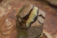 Polished Large Septaria (Yellow Calcite and Aragonite) Point x 1 From Mahajanga, Madagascar - TopRock