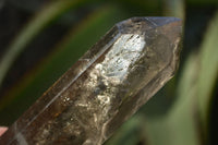 Polished Large Phantom Smokey Quartz Points  x 4 From Madagascar