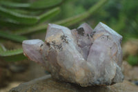 Natural Jacaranda Amethyst Cluster x 1 From Mumbwa, Zambia - TopRock