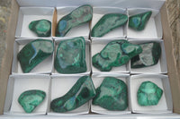 Polished Flower Malachite Free Forms  x 12 From Congo