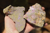 Natural Selected Stichtite & Green Serpentine (Atlantisite) Cobbed Specimens  x 8 From Barberton, South Africa - TopRock