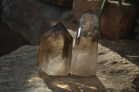 Polished Large Phantom Smokey Quartz Points  x 4 From Madagascar