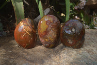 Polished Ocean Jasper Standing Free Forms  x 3 From Marovato, Madagascar