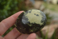 Polished Spotted Leopard Stone Gallets  x 12 From Zimbabwe - TopRock