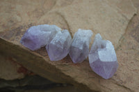 Natural Single Zambian Jacaranda Amethyst Points - Sold per 1.6 kg (24 points per tray) - From Mumbwa, Zambia - TopRock