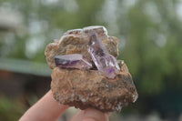 Polished Conglomerate Amethyst Clusters (Man Made) x 6 From Chiredzi, Zimbabwe - TopRock