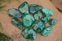 Polished Flower Banded Malachite Free Forms  x 12 From Congo - Toprock Gemstones and Minerals 