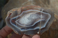 Polished Red Sache River Agate Nodules x 6 From Sashe River, Zimbabwe