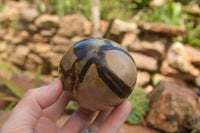 Polished Septaria Dragon's Eggs (Calcite & Aragonite) x 3 From Mahajanga, Madagascar - TopRock